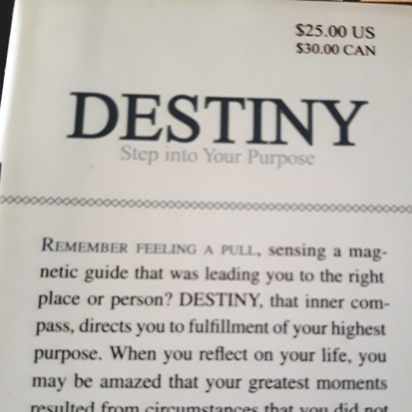 Destiny | Step into Your Purpose Book - Picture 3 of 7